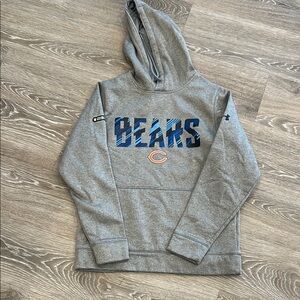 Gray Bears Hoodie Sweater